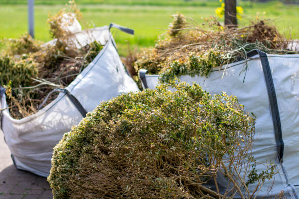 Shed Removal in Maricopa, AZ